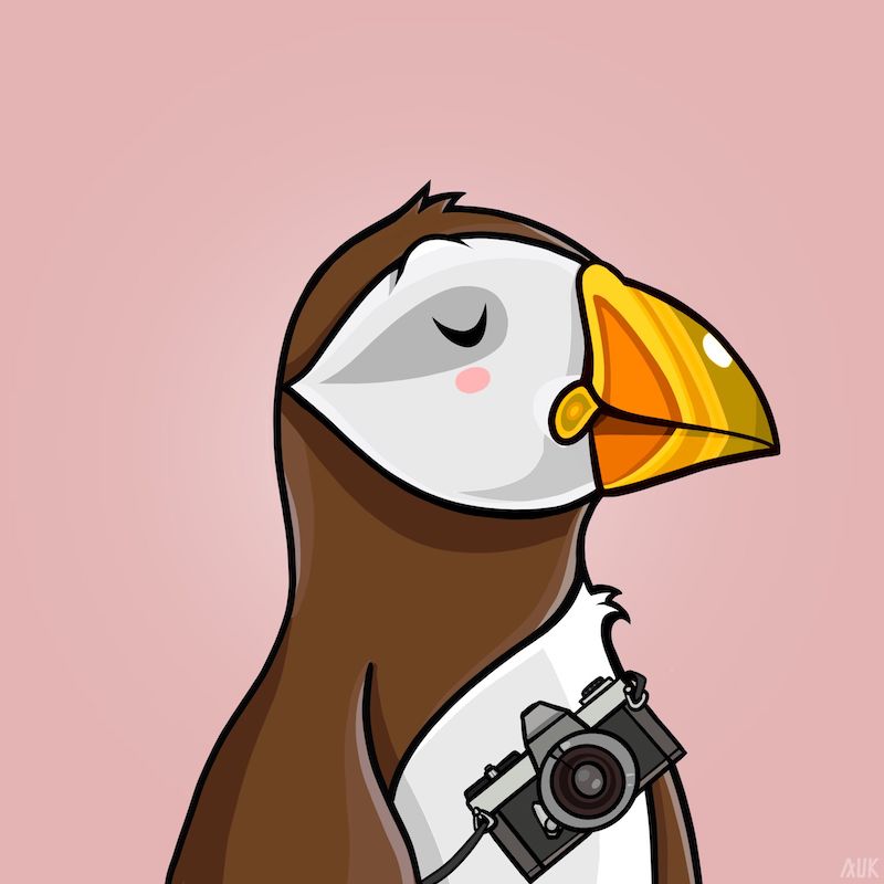 Poppin Puffins #4828